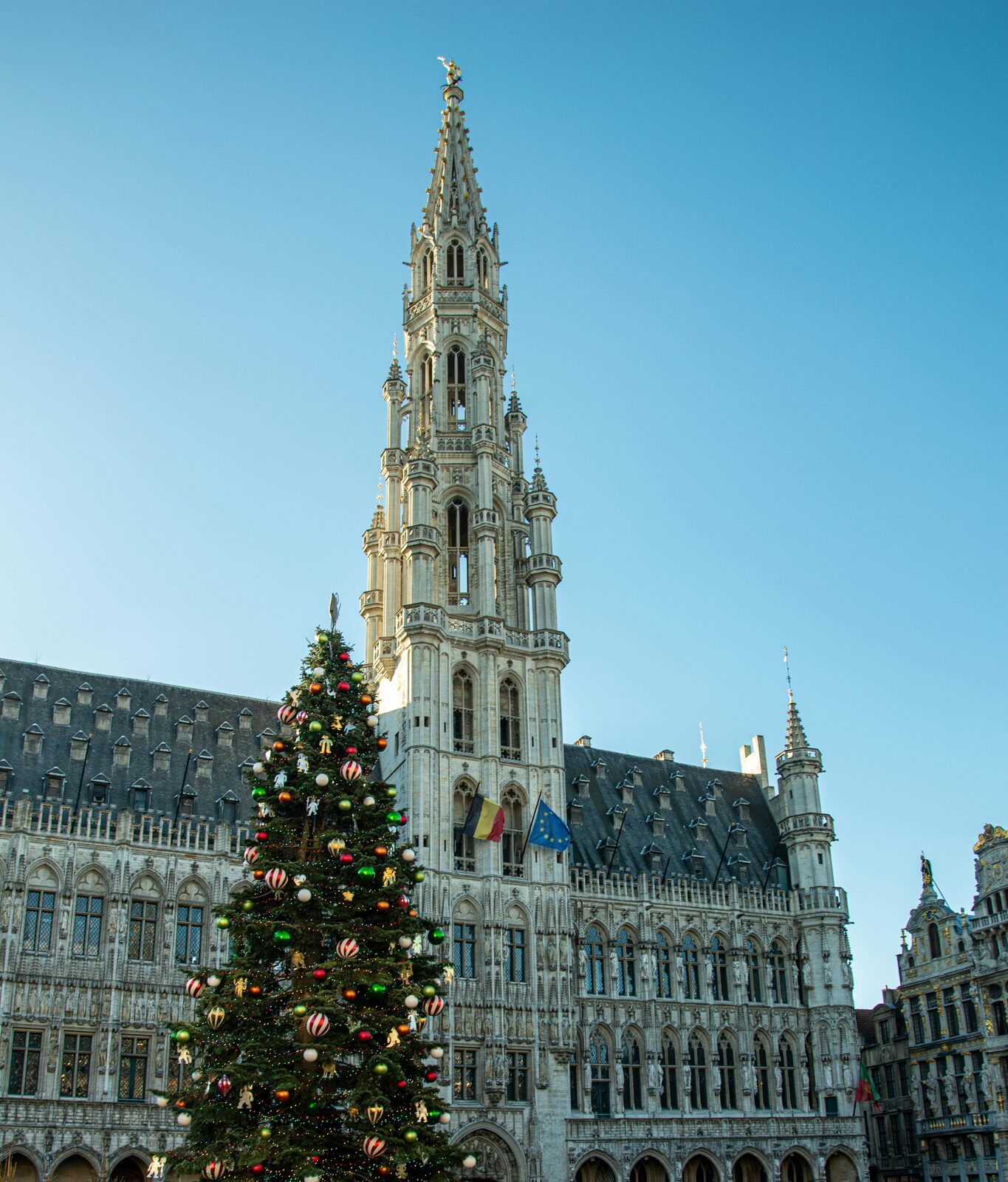 Grand-Place de Bruselas iluminada con árbol de Navidad