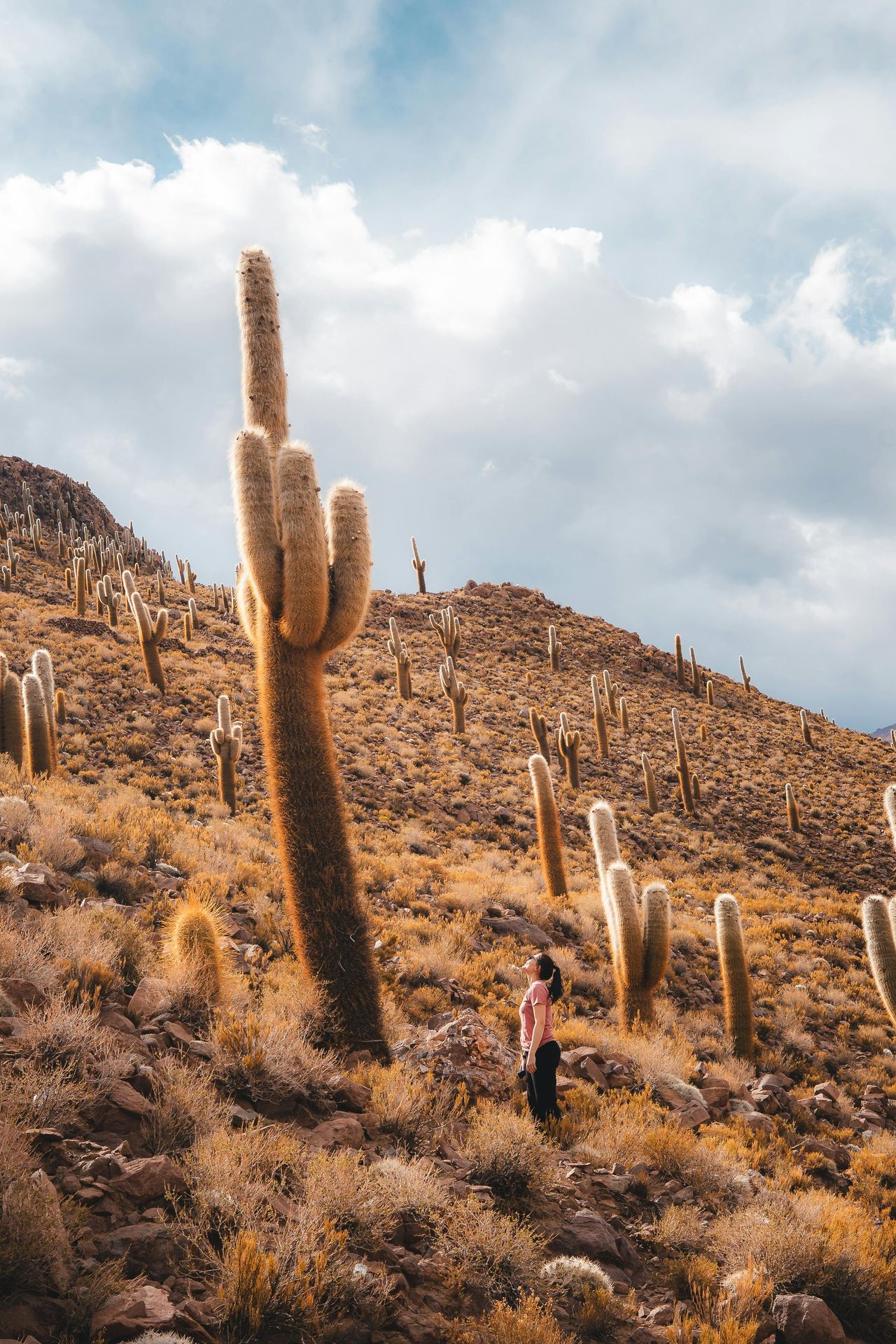 Red desert of the southern altiplano