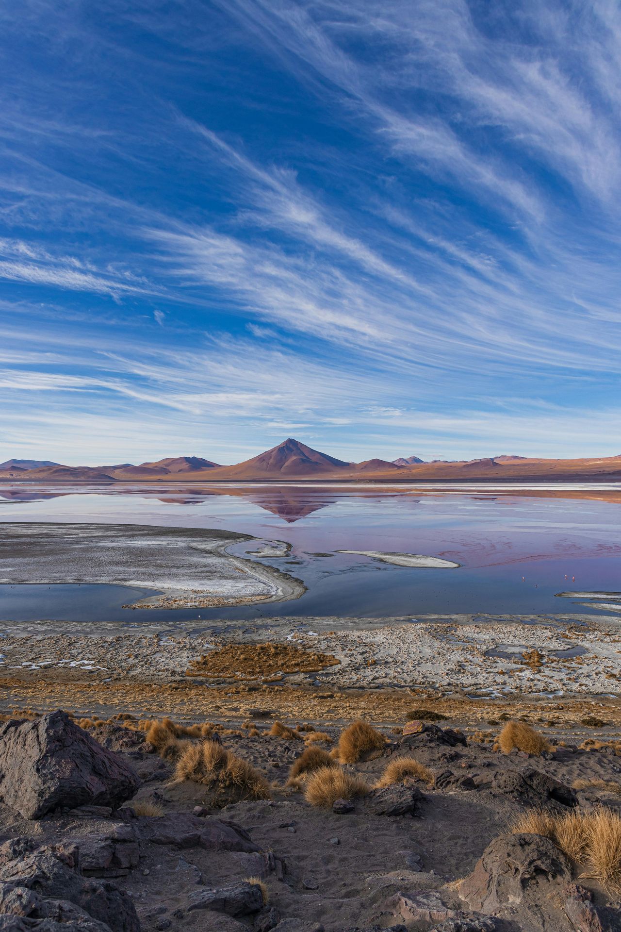 Laguna Colorada with flamingos in the Eduardo Avaroa Reserve