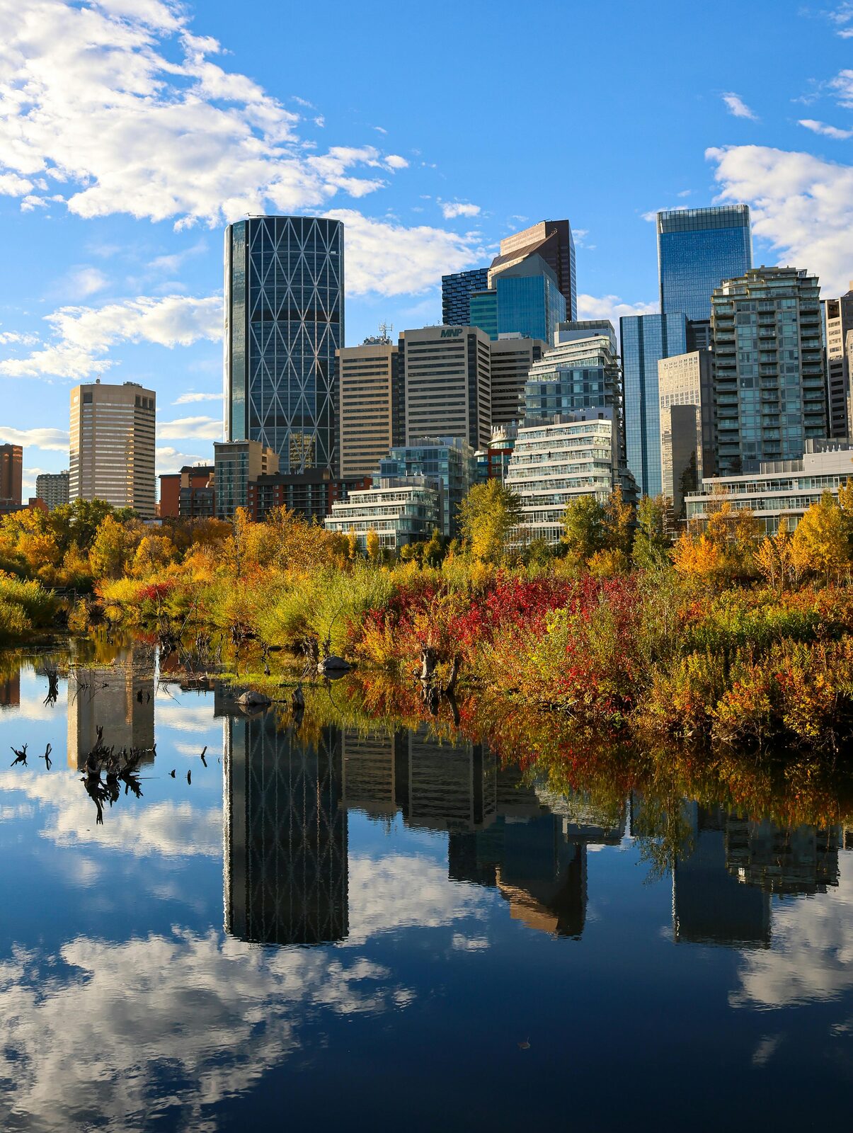 Skyline de Toronto reflejado con follaje de otoño