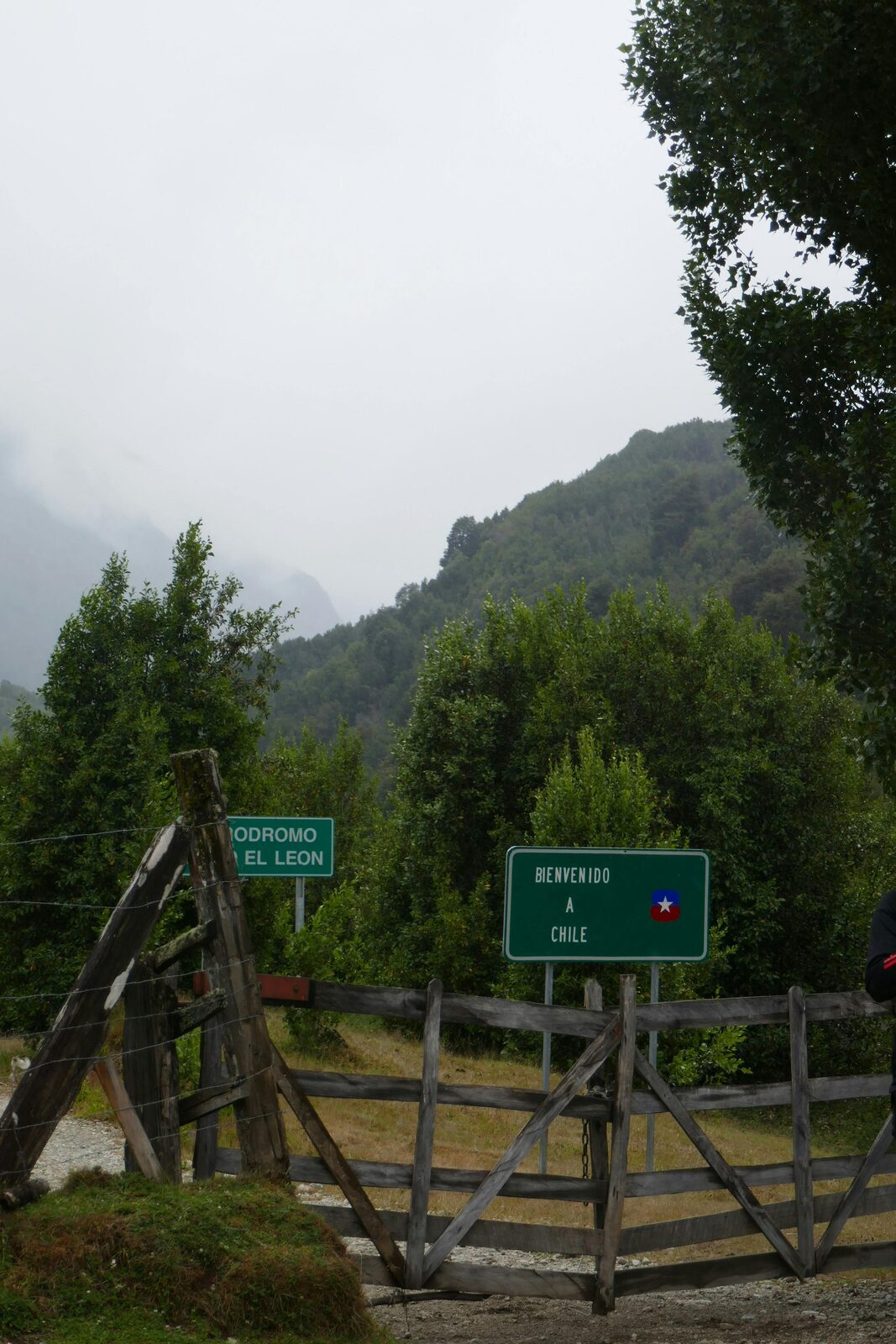 Road through mountains and forest in southern Chile