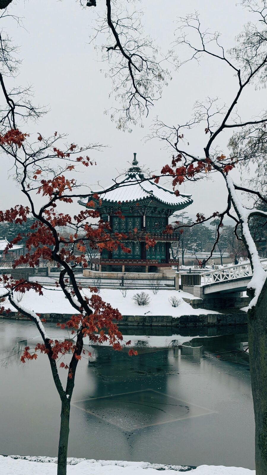 Autumn foliage and cherry blossoms in Korea