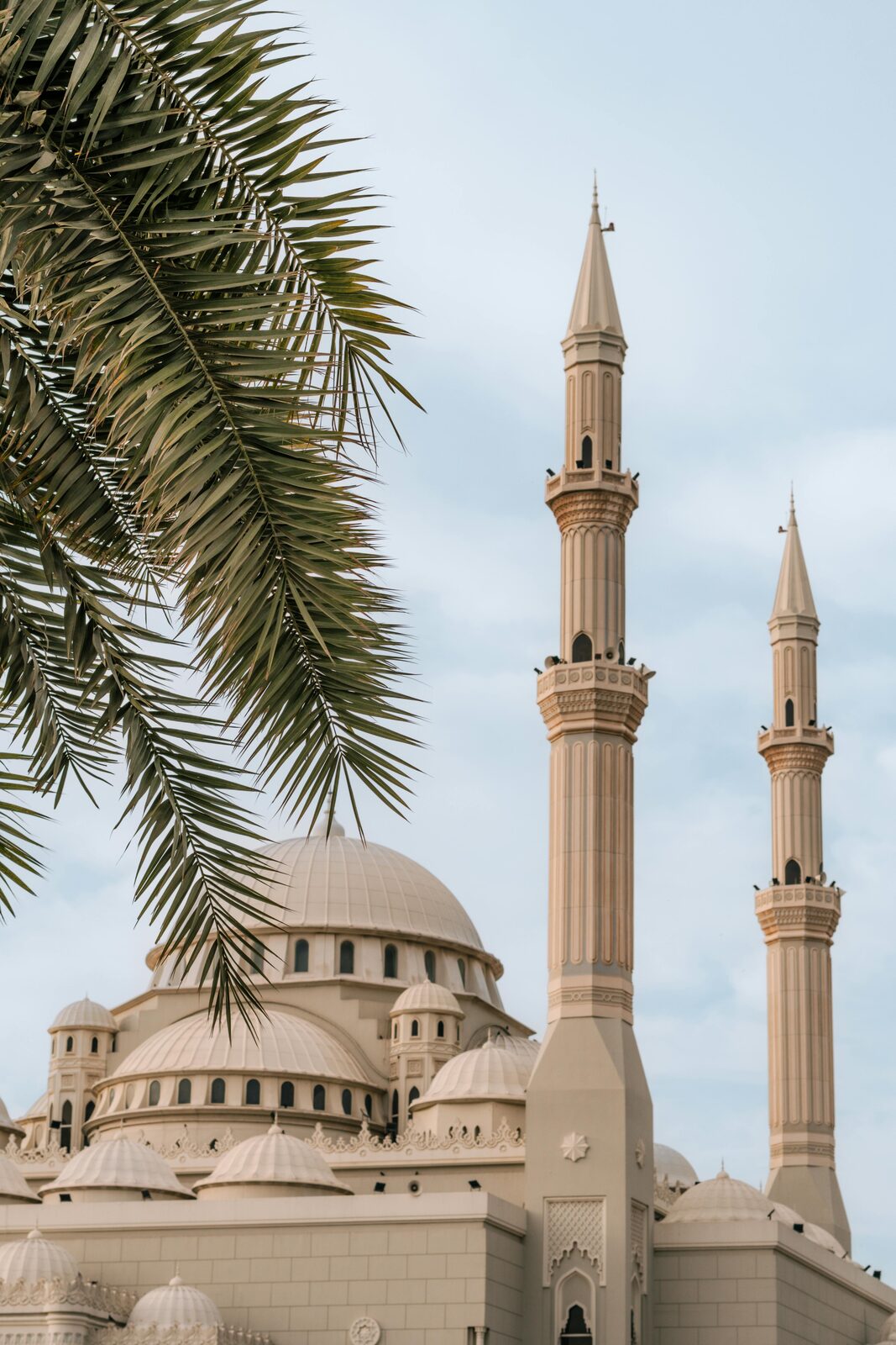 The Sheikh Zayed Grand Mosque among palm trees