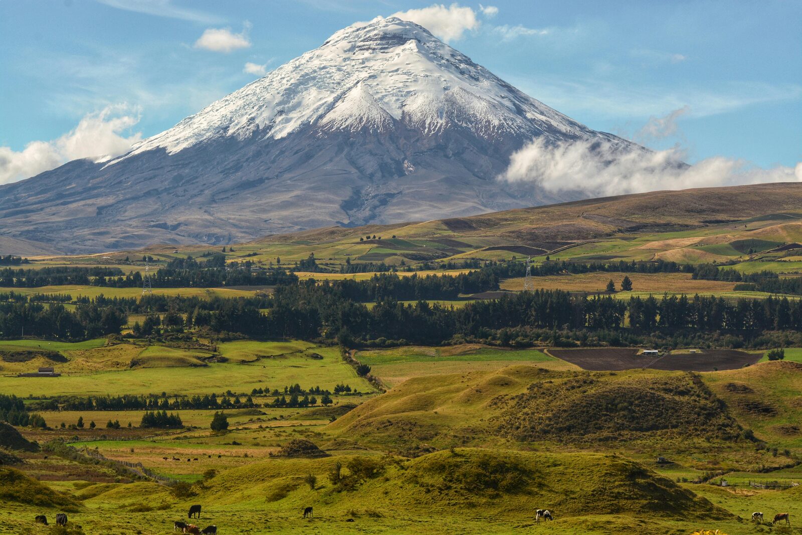 Volcán Cotopaxi nevado sobre el valle verde de la sierra ecuatoriana