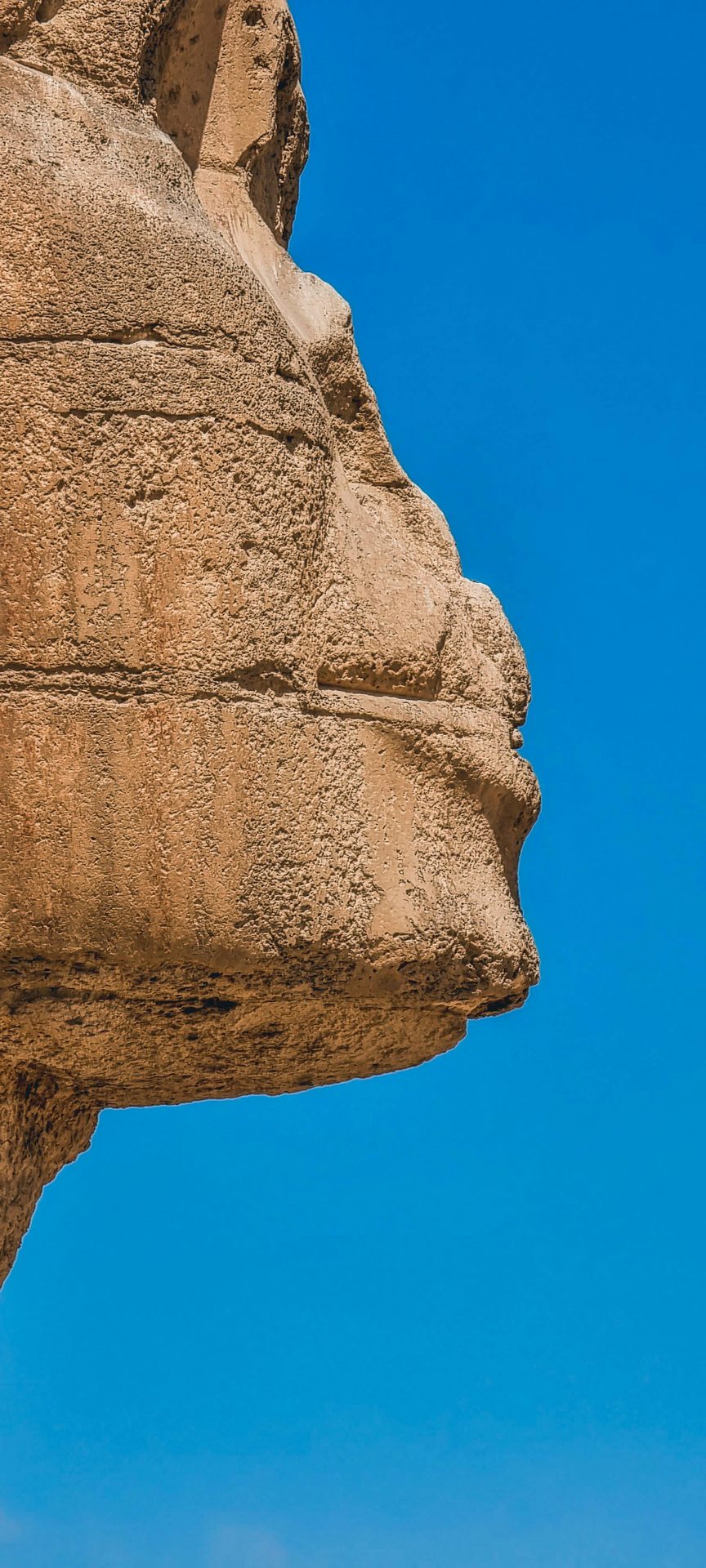 Profile of the Sphinx of Giza