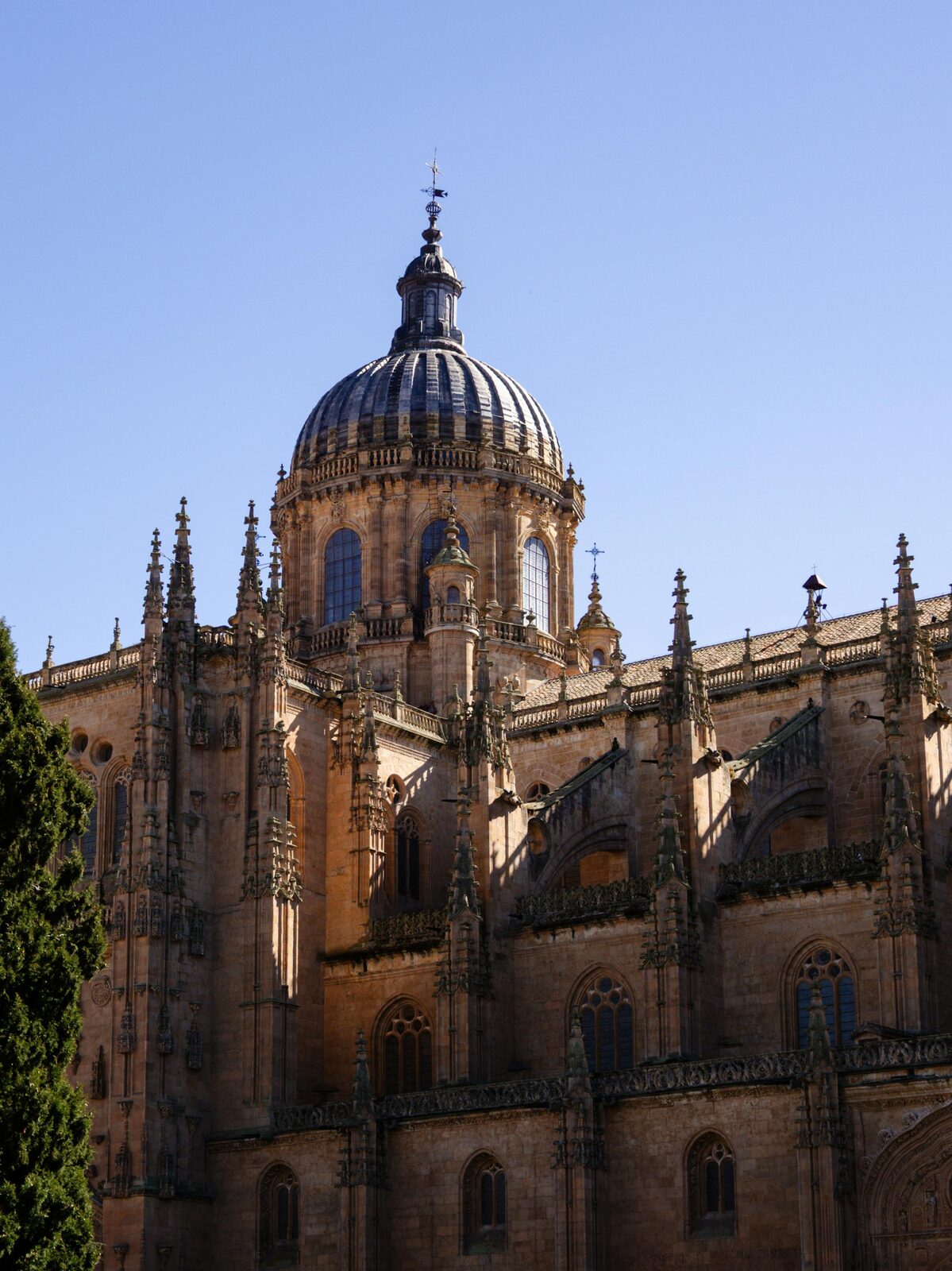 Golden vaulted ceiling of a Spanish cathedral