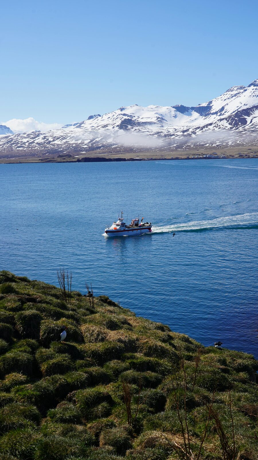 Barco navegando en un fiordo de Islandia con montañas nevadas