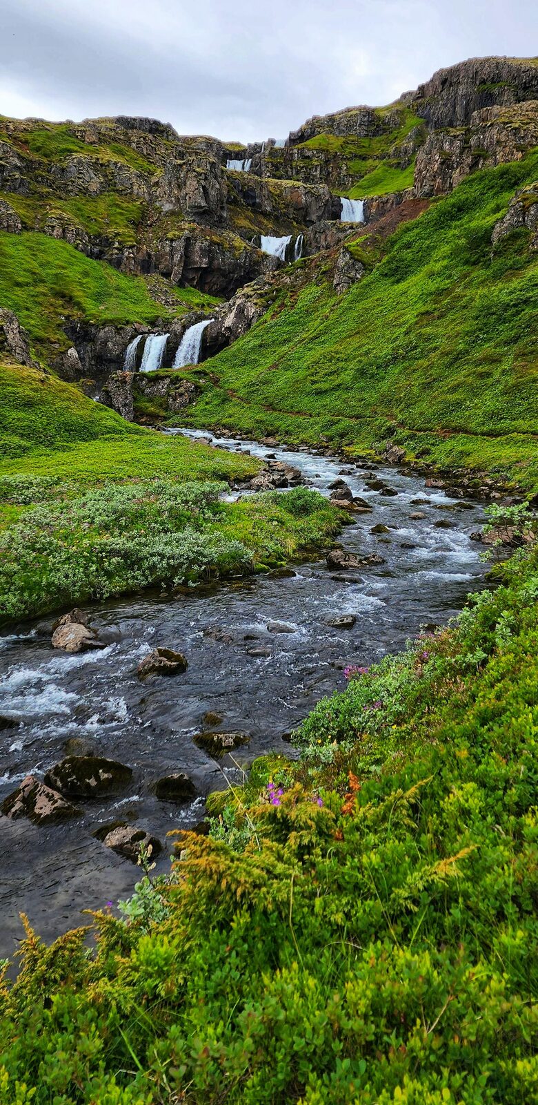 Cascadas verdes sobre un río de los fiordos