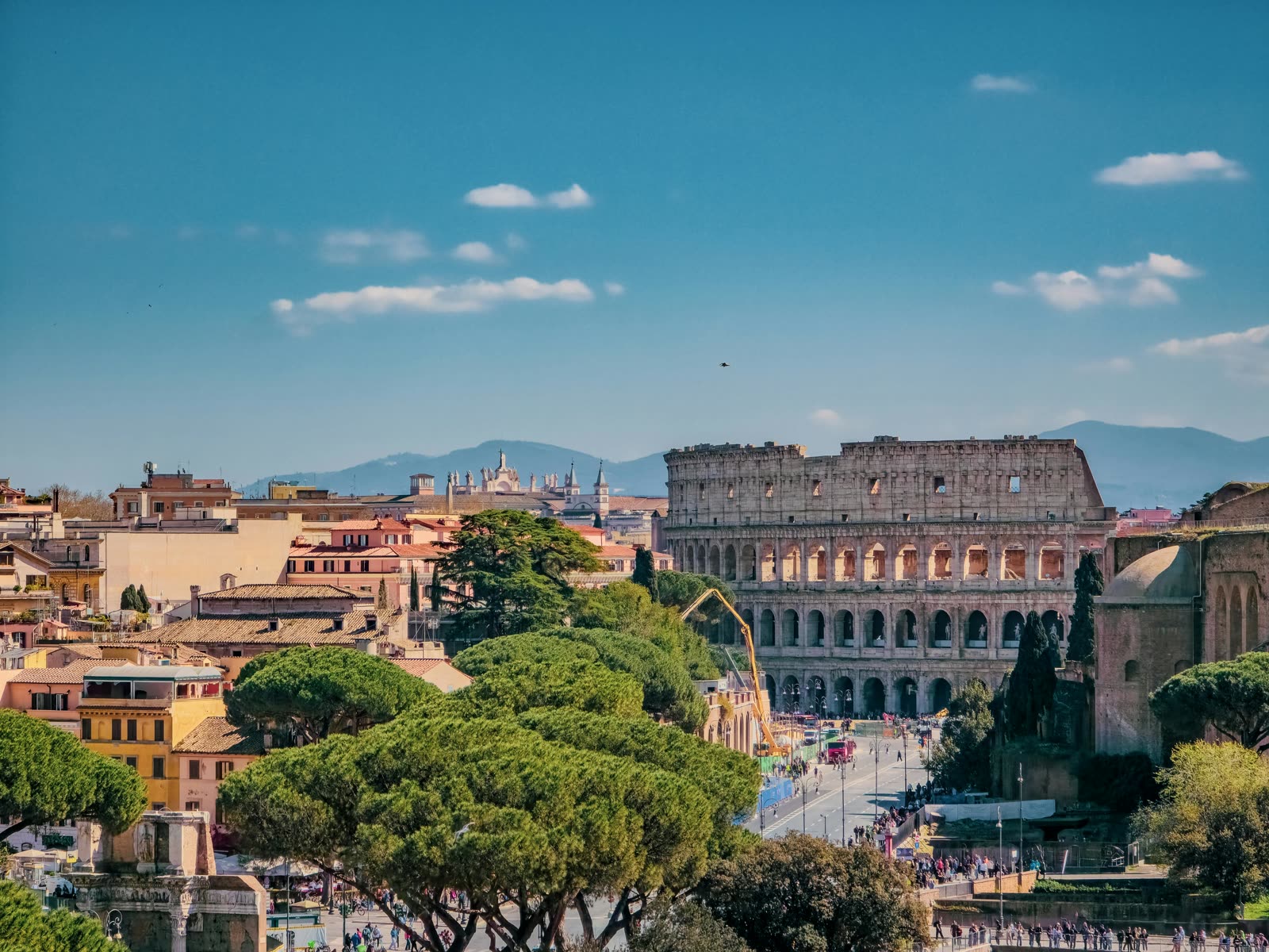 The Colosseum of Rome among umbrella pines