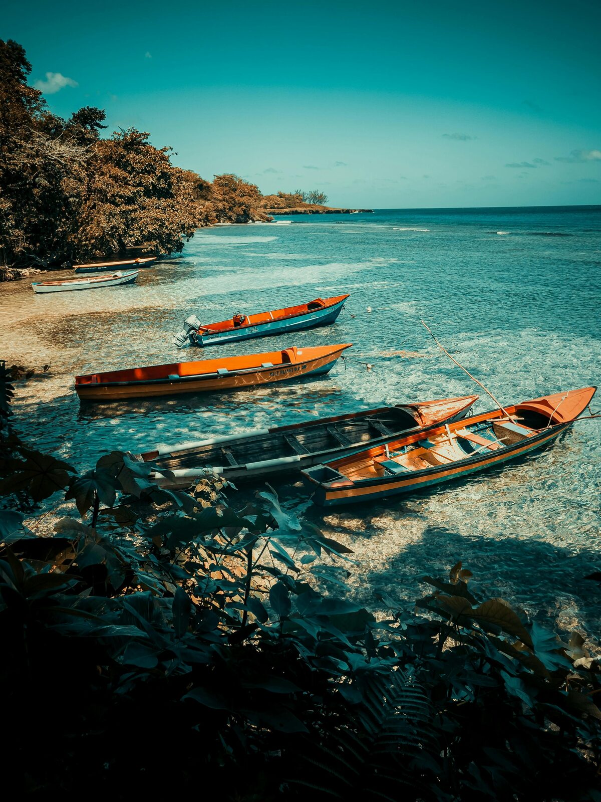 Balsa de bambú navegando un río tropical jamaicano