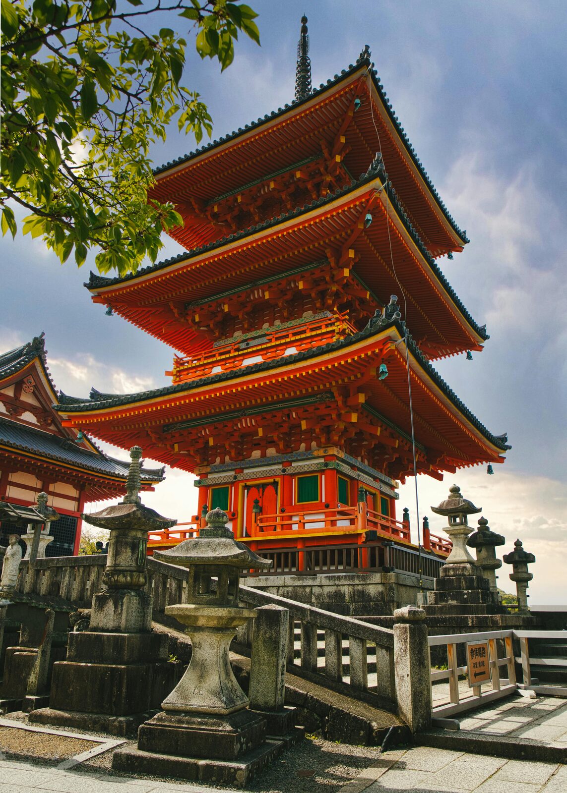 Kyoto pagoda among cherry blossoms in full bloom