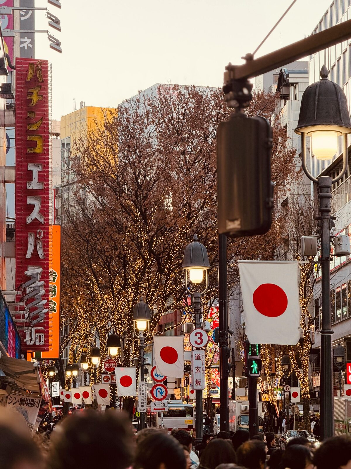 Cherry blossoms with red lanterns