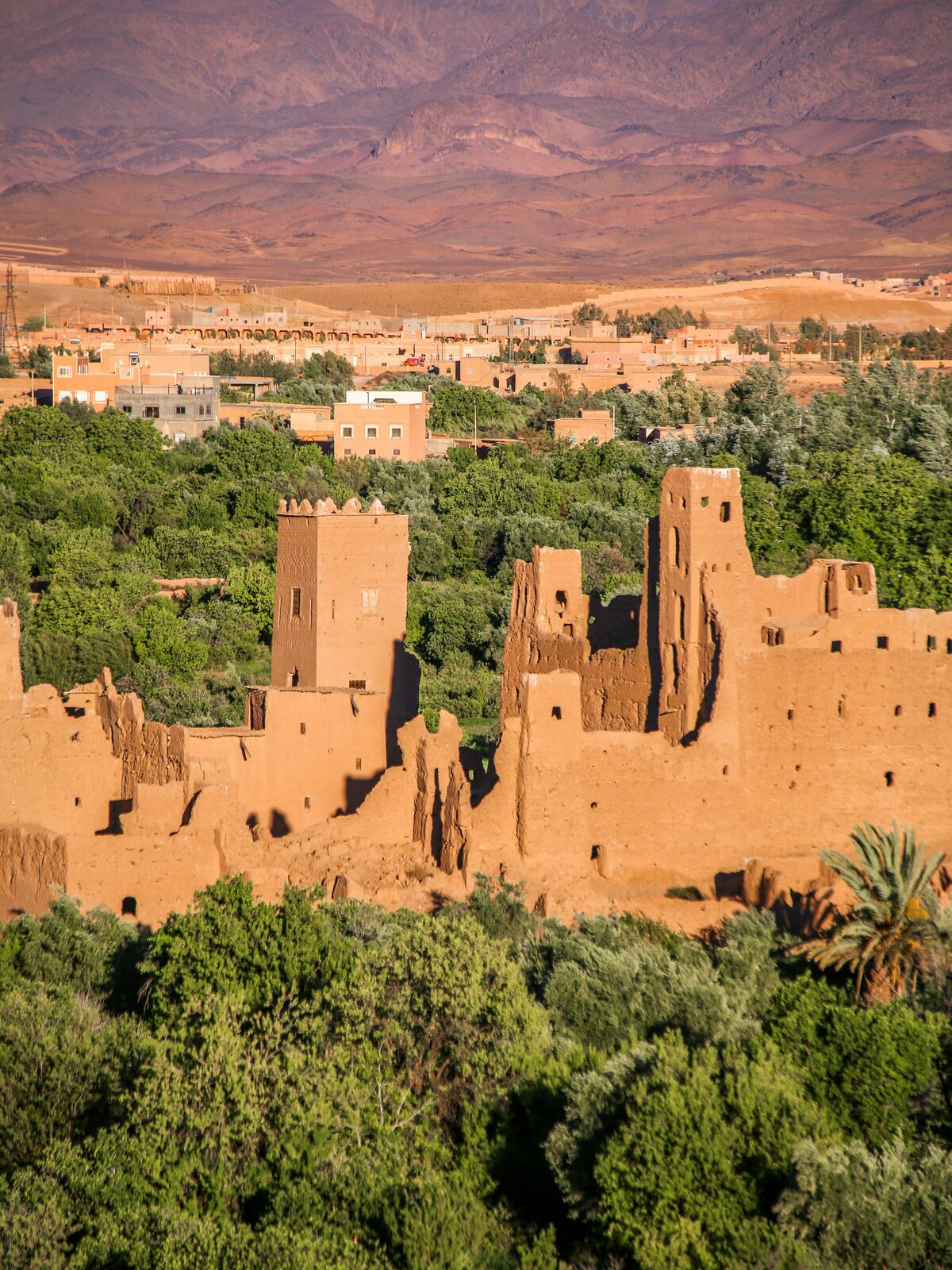Adobe kasbah surrounded by a palm grove in the Atlas valley