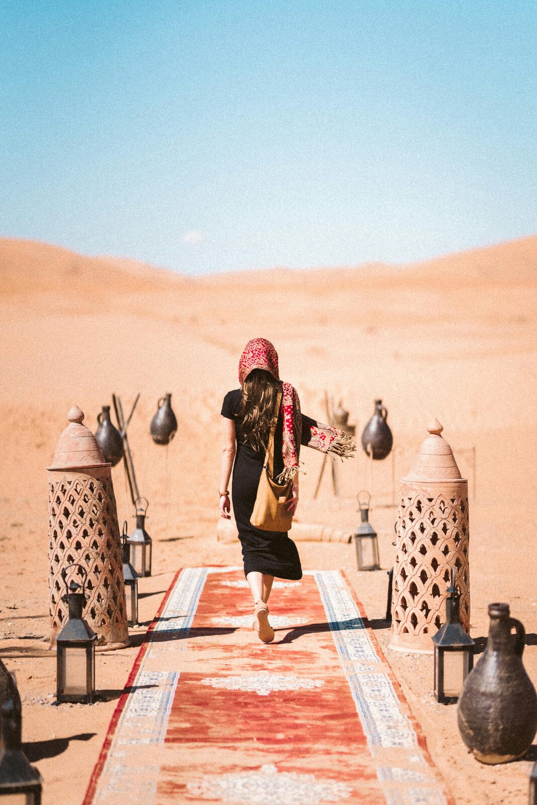 Dromedary among the dunes of the Sahara Desert