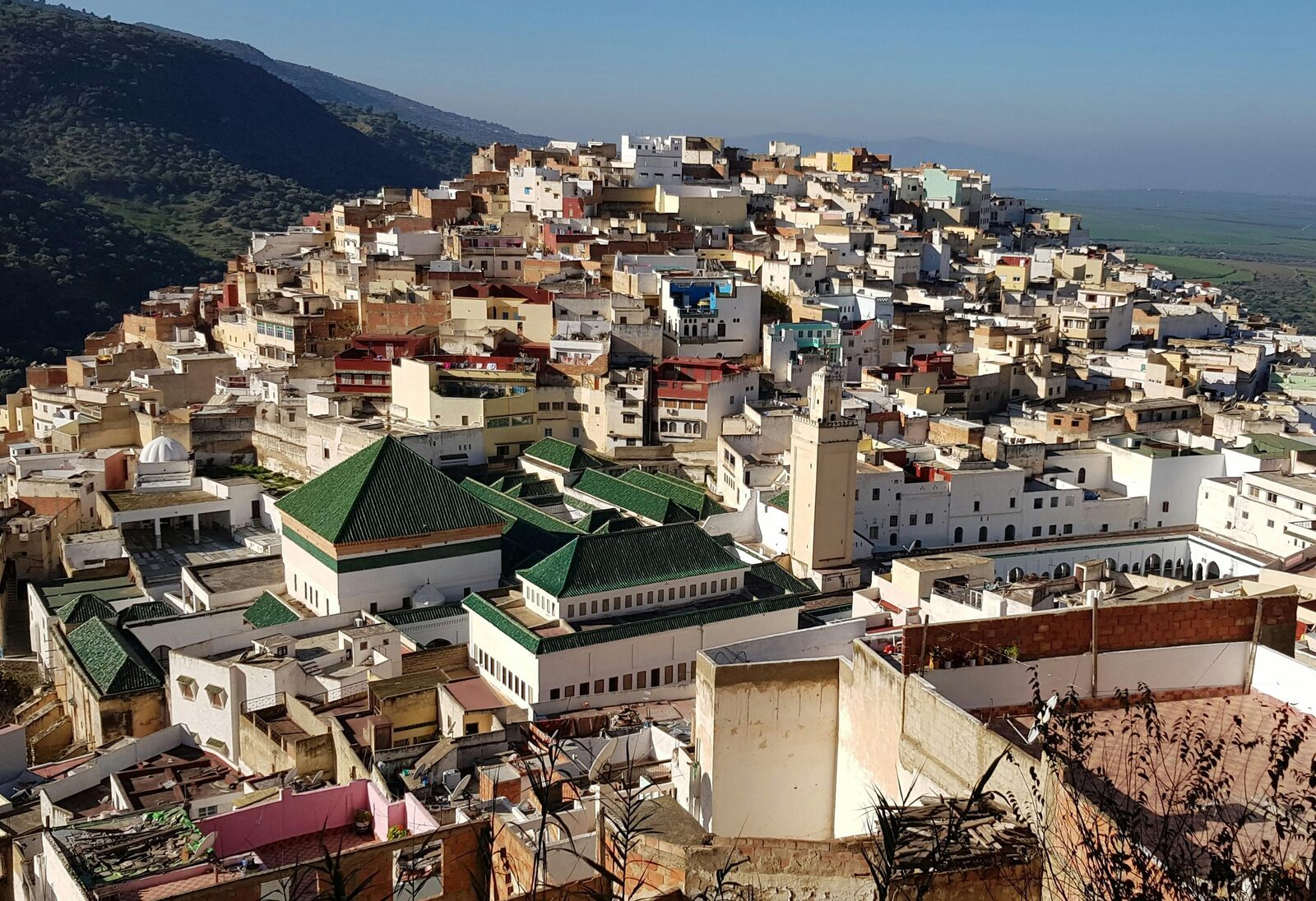 Aerial view of the Fez medina with its rooftops