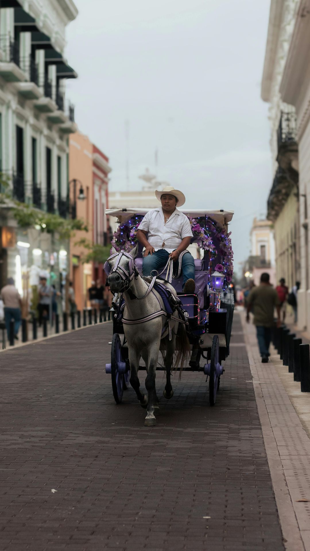 A horse-drawn carriage on a colonial street of Mérida