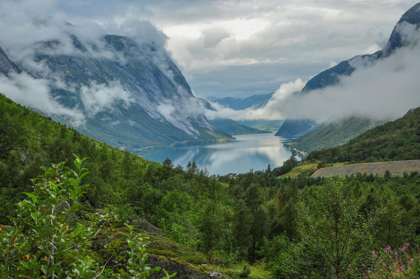 Fiordo verde con glaciar al fondo