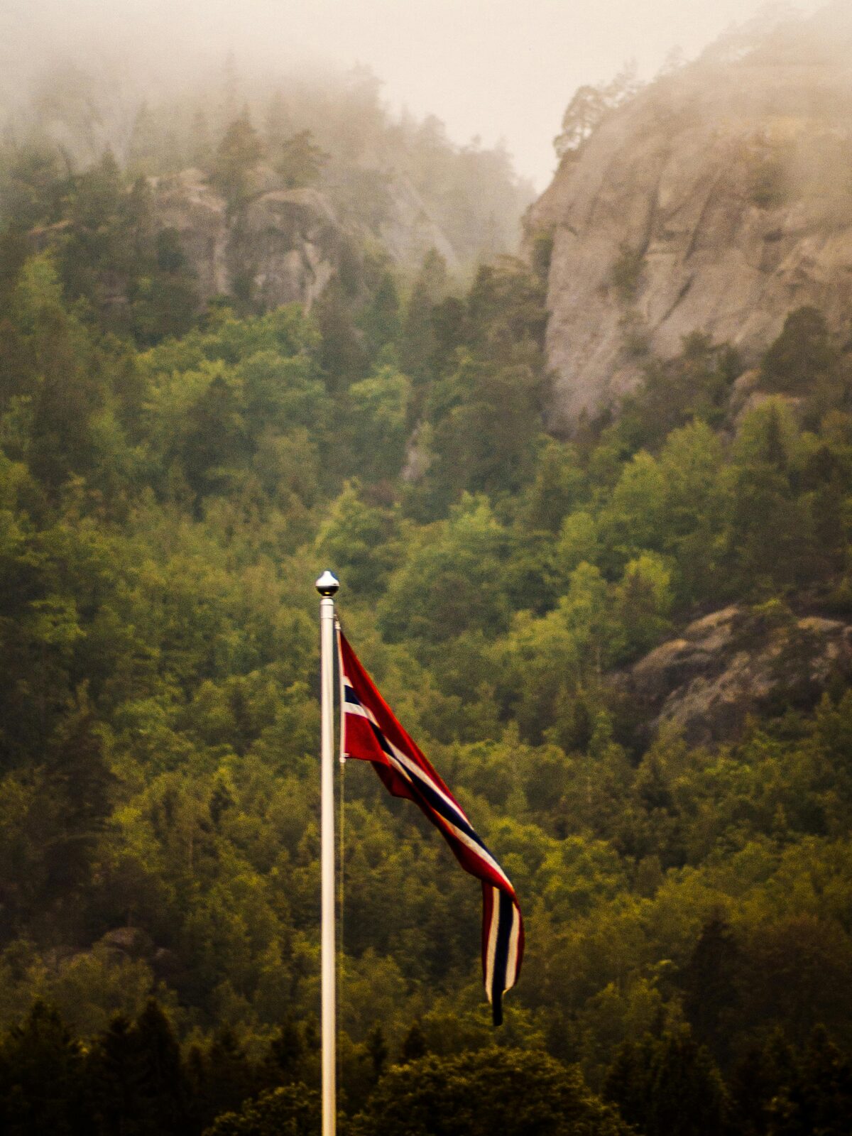 Bandera noruega sobre acantilados de fiordo en la niebla