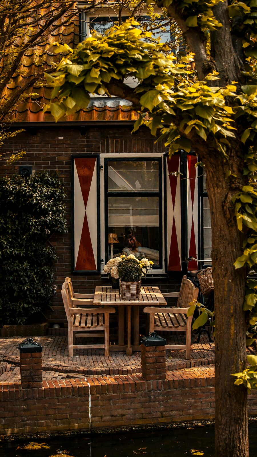 Detalle de ventana con flores en una calle de Ámsterdam