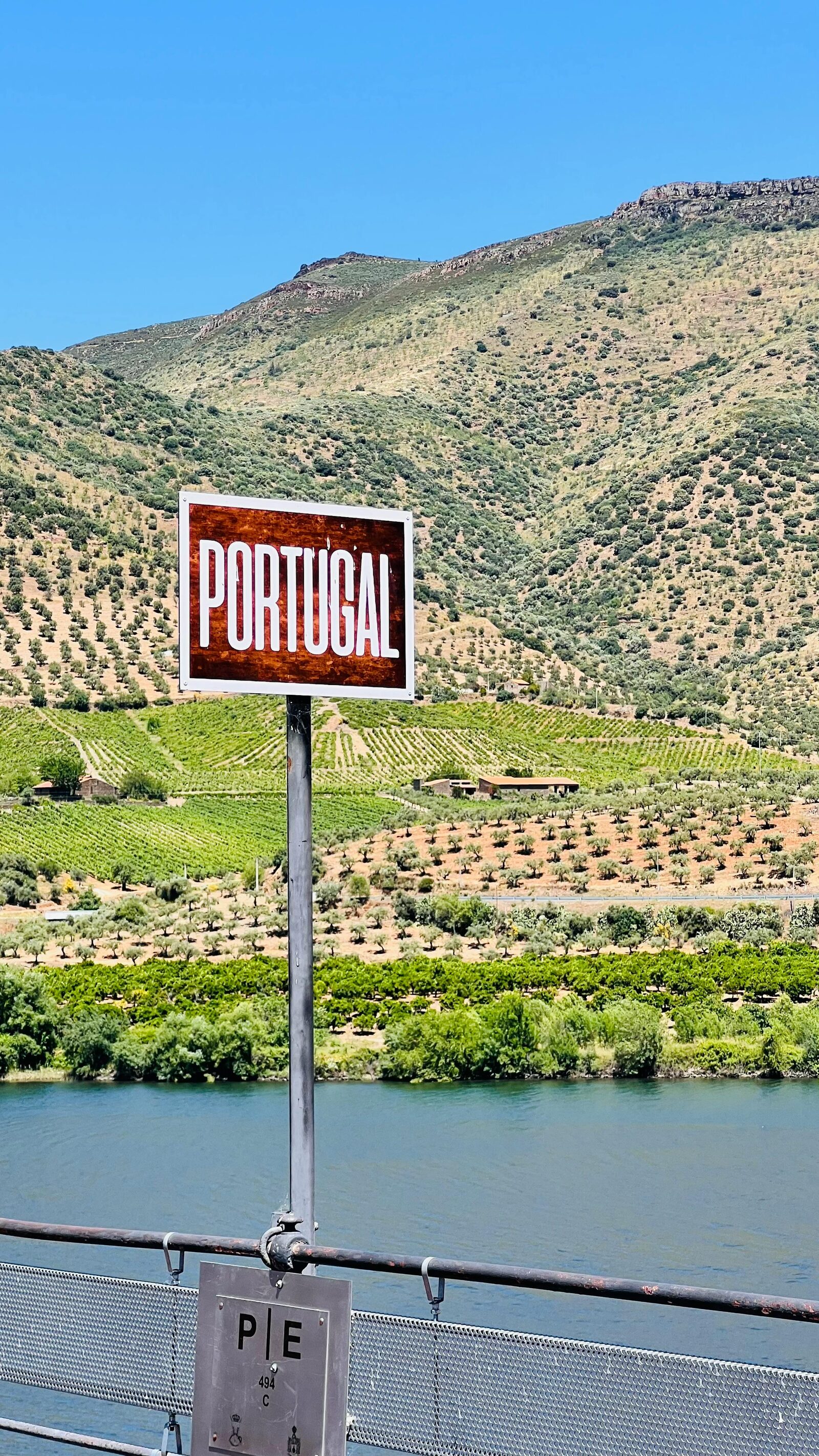 Terraced vineyards of the Douro Valley with the river in the distance
