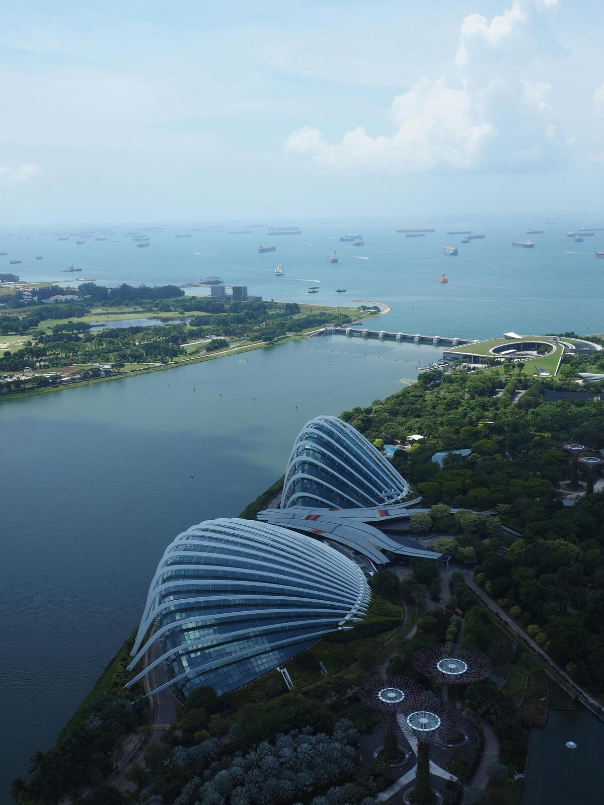 Vista aérea de los jardines tropicales diseñados de Singapur