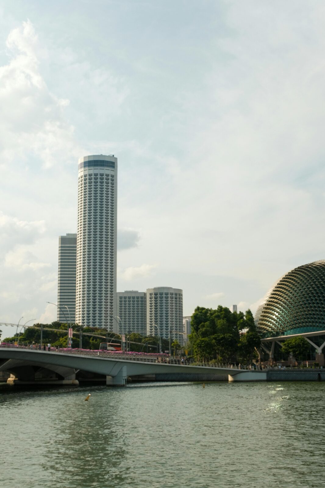 Supertrees de Gardens by the Bay al atardecer