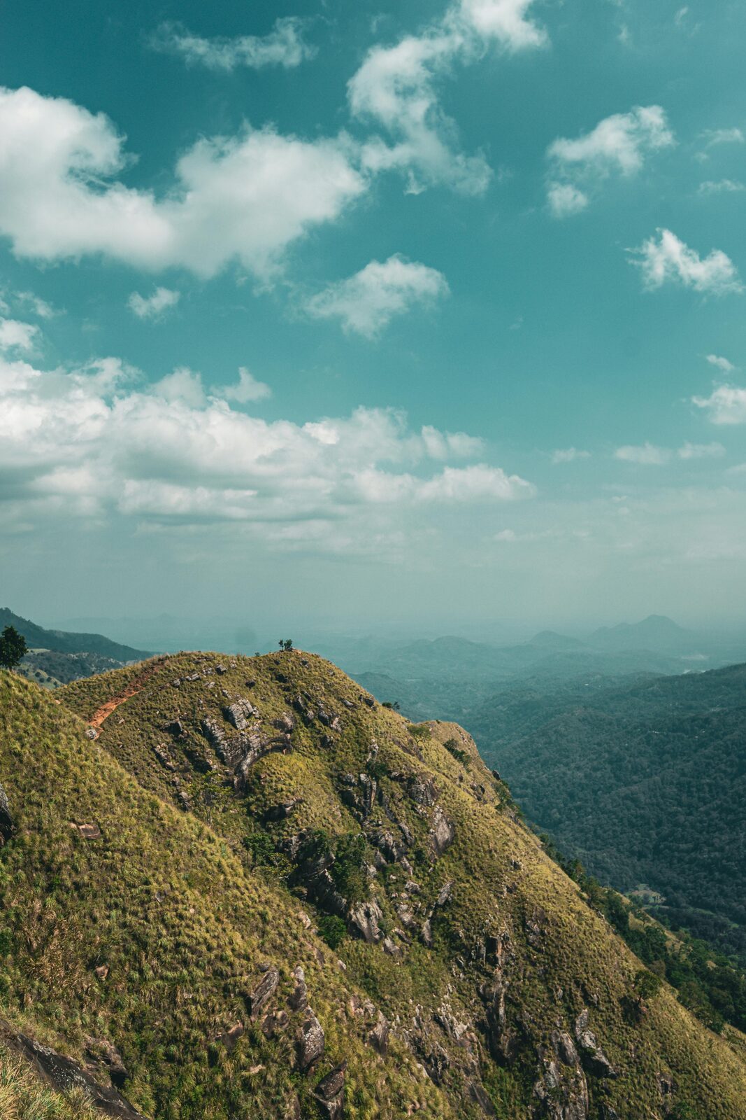 Viajero en la cumbre de una montaña verde de las tierras altas