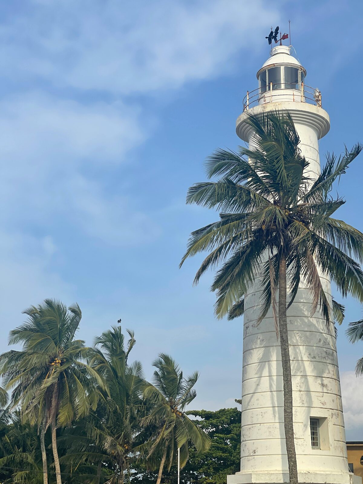 Faro blanco del fuerte de Galle entre palmeras · Sri Lanka