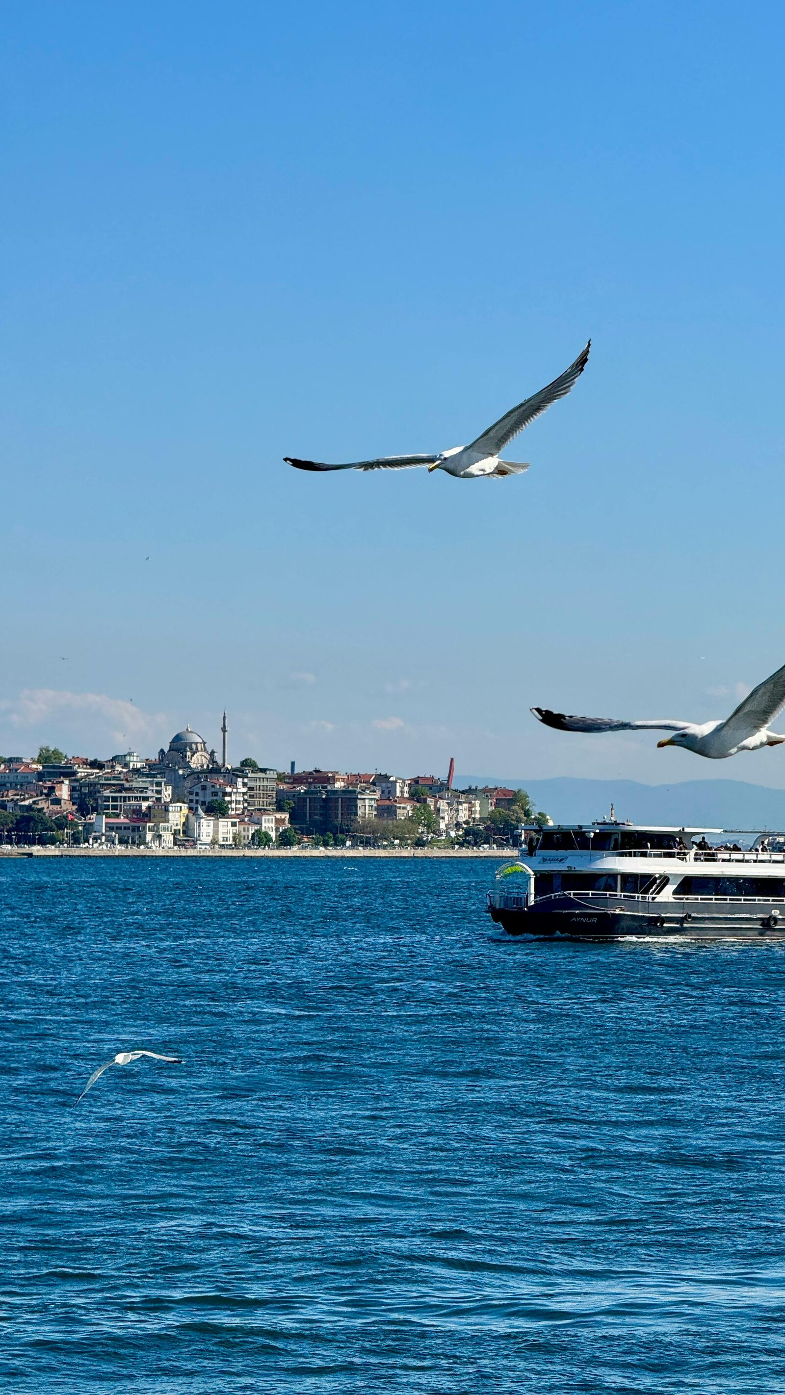 Bridge over the Bosphorus in Istanbul