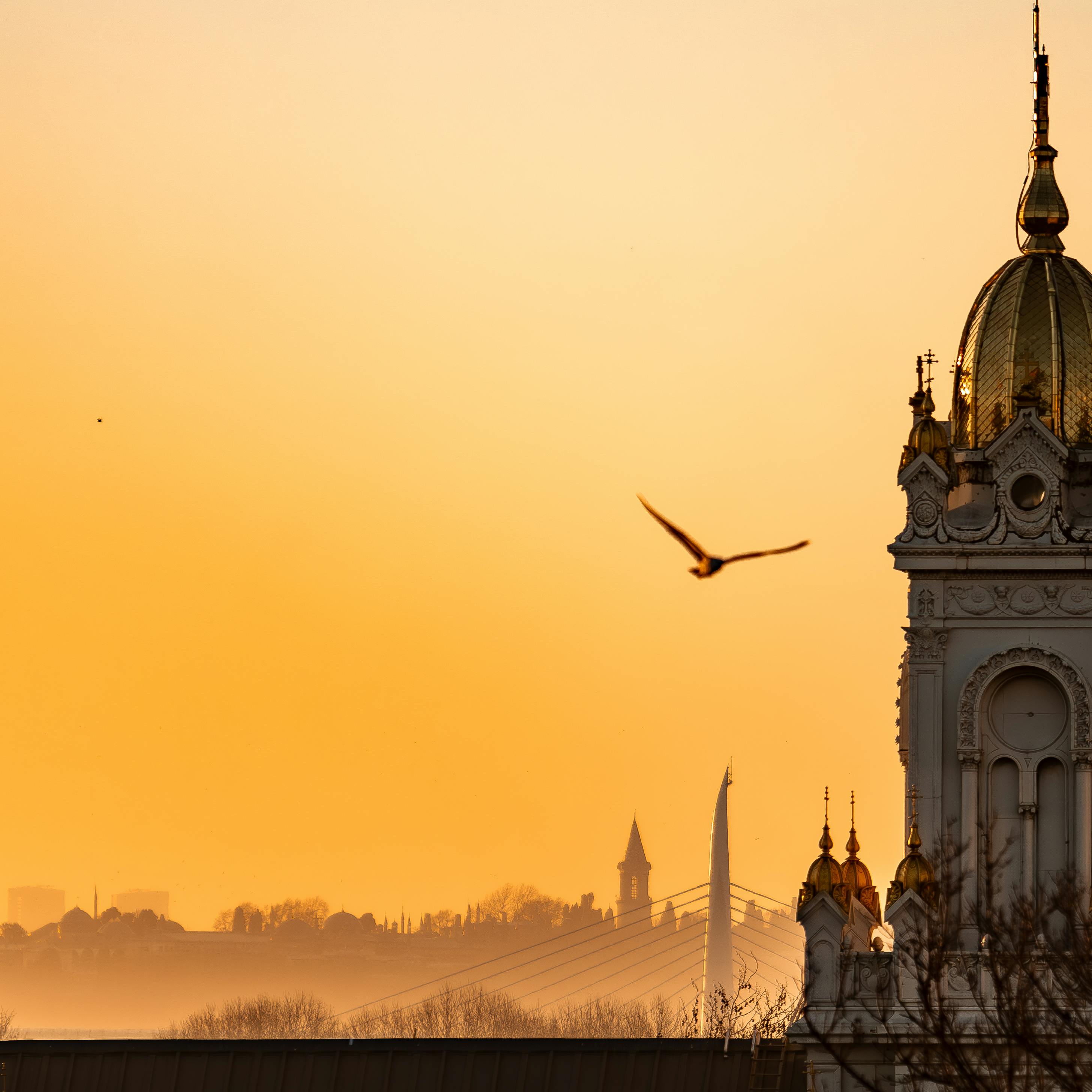 argentina — vista 6