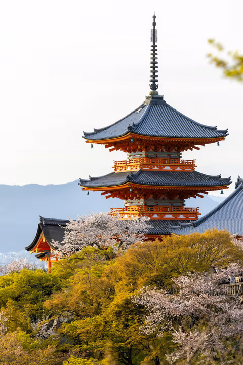 Pagoda con sakura, Japón